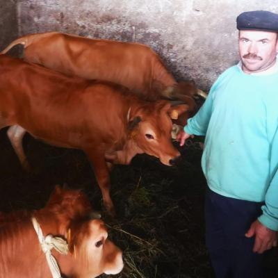 Sr. Adriano de Folgosinho - Arouca