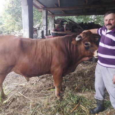 Sr. Anselmo St Maria do Monte - Arouca