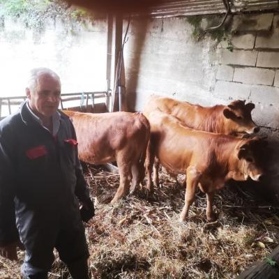 Sr. Fraquelim St Maria do Monte - Arouca