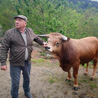 Sr. Luís da Aborrida - Arouca