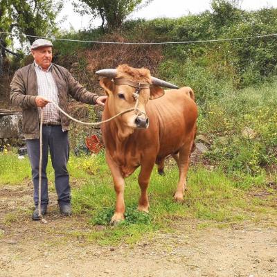 Sr. Luís da Aborrida - Arouca